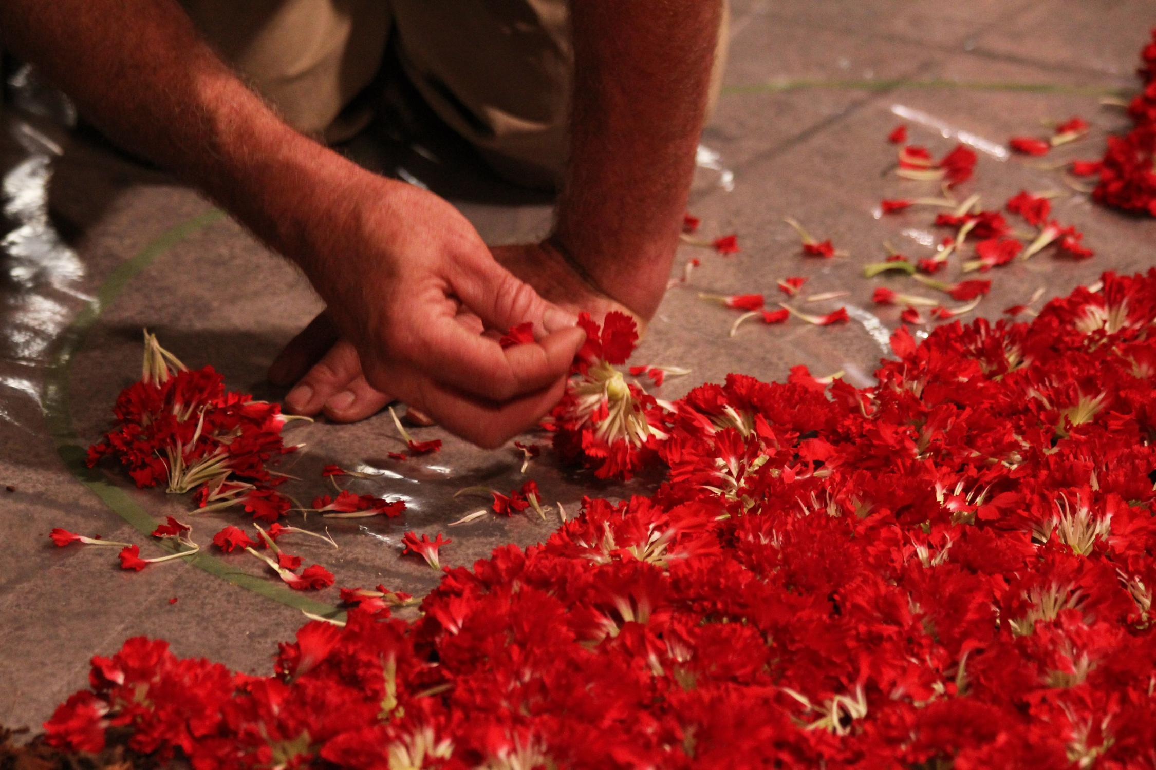 Hand legt rote Nelkenblüten auf den Boden.