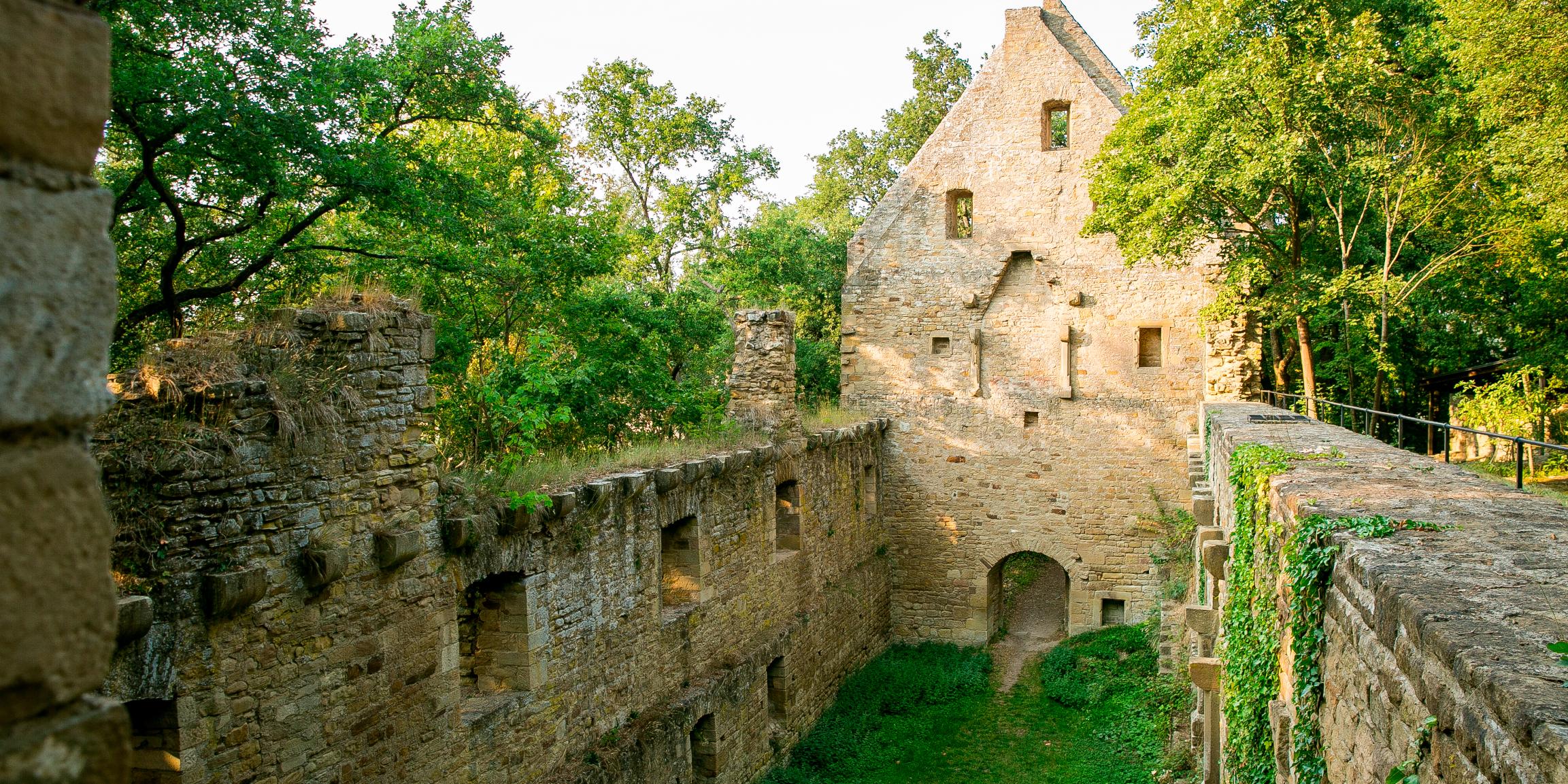 Ferienregion Bad Sobernheim_Klosterruine Disibodenberg5_3timeKate